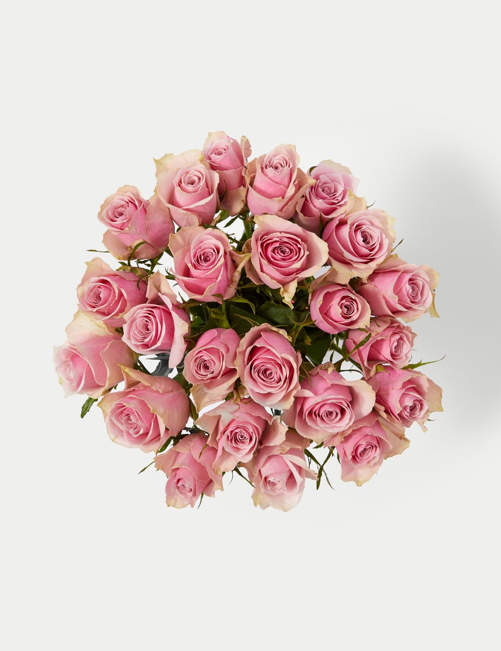 Blush Rose Abundance Bouquet