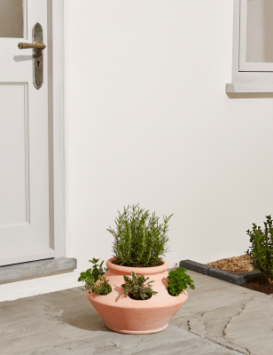 Terracotta Herb Planter | M&S