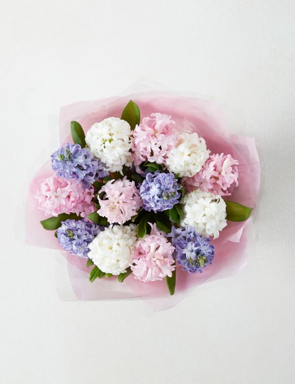Hyacinth Gift Bag M S
