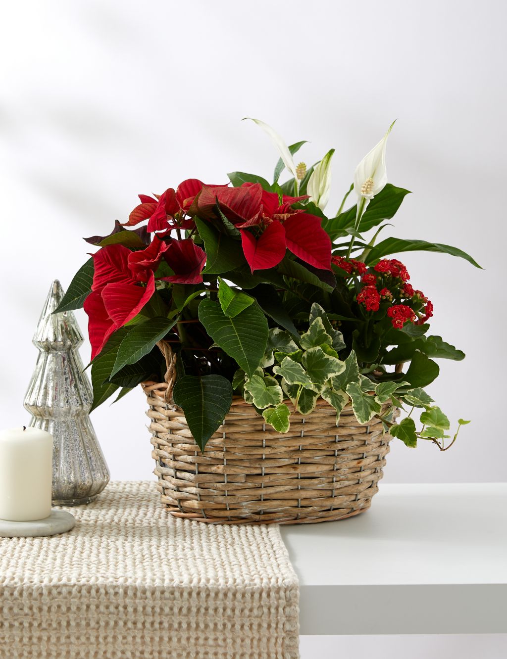 Festive Planted Basket with Poinsettia