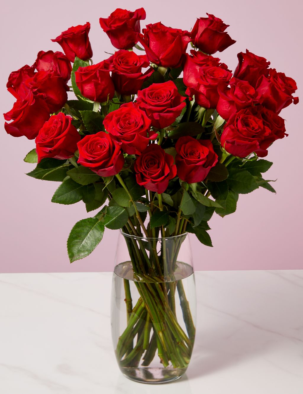 Valentine's Two Dozen Freedom™ Rose Bouquet (Delivery from 09/02/24)