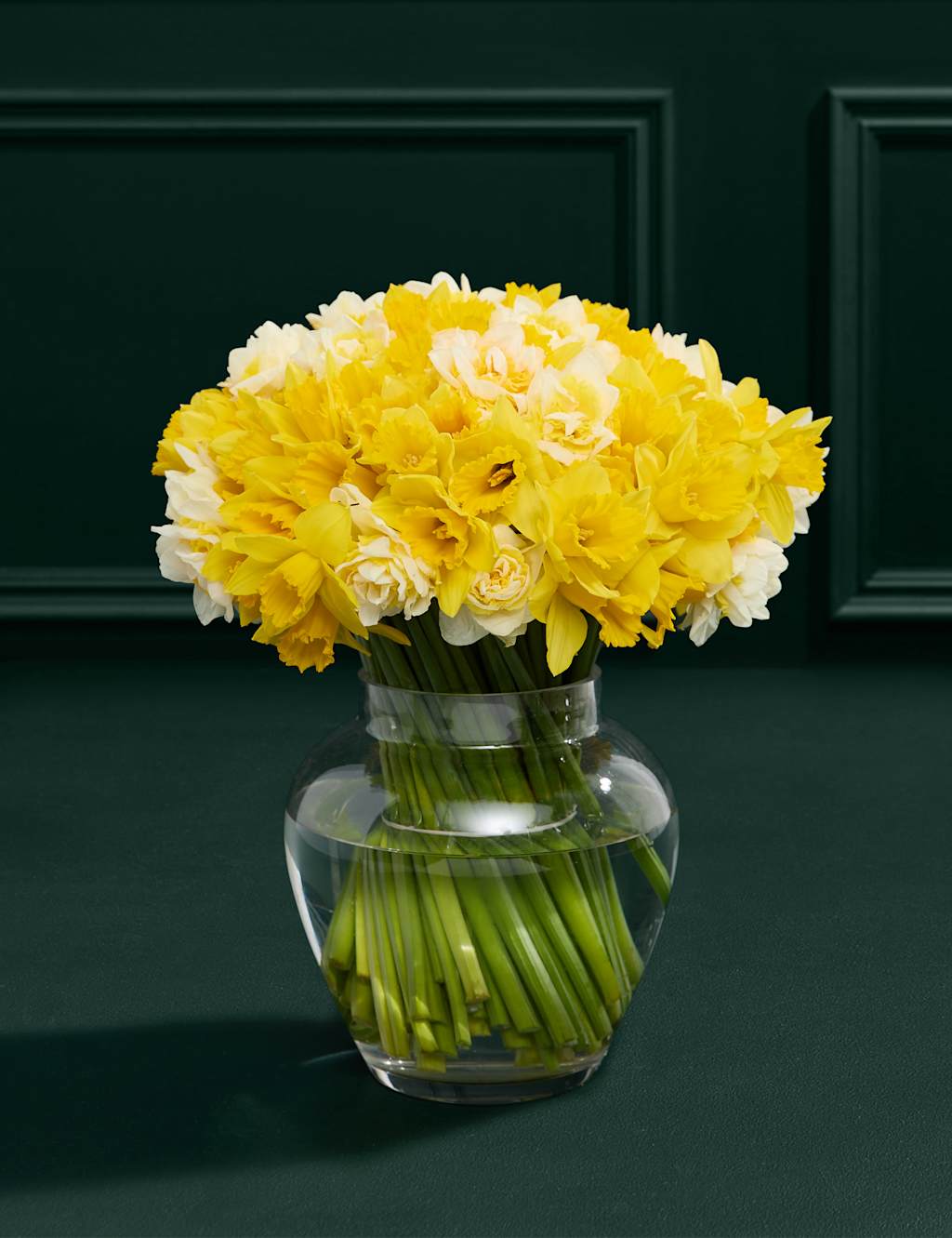 100 Delightful Daffodil & Narcissus Bouquet