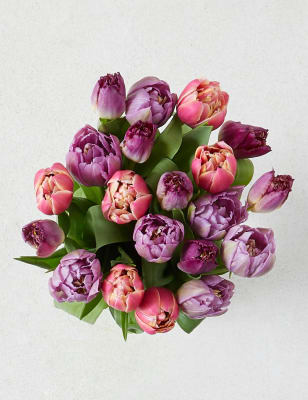 Our Luxury Tulip Trio