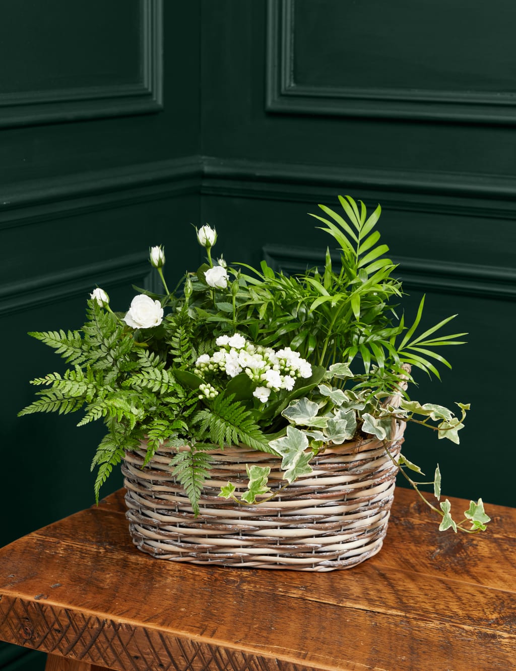 Luxury White Festive Planted Basket with Roses