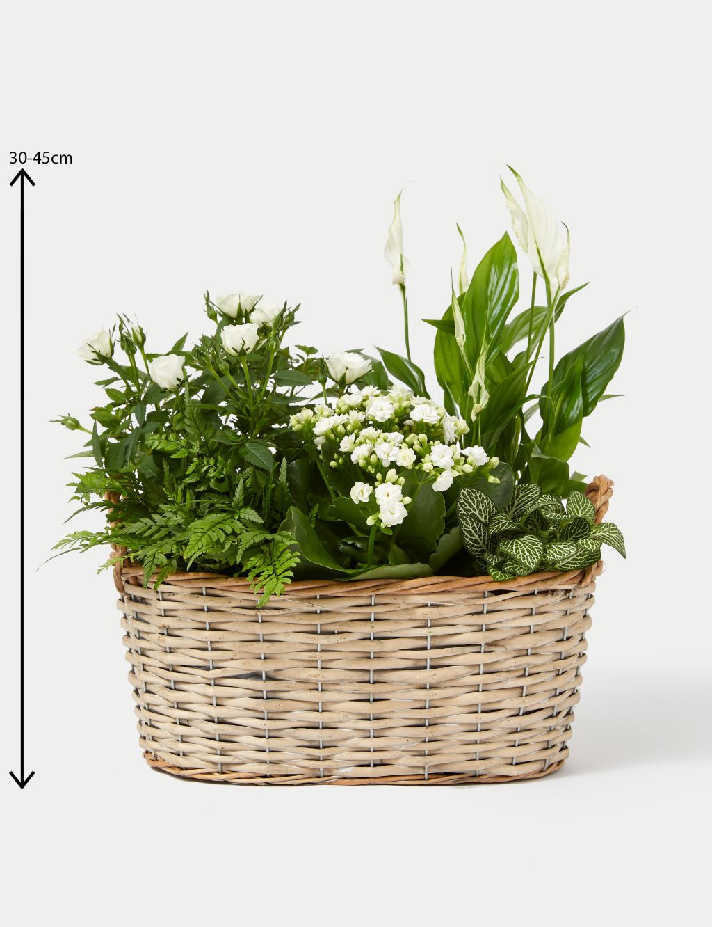 Luxury White Festive Planted Basket with Roses image 4