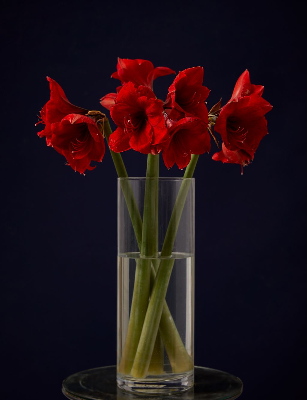Red Amaryllis Bouquet image 3