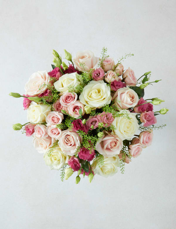 Christmas Flowers Plants Flowers Plants Gifts M S