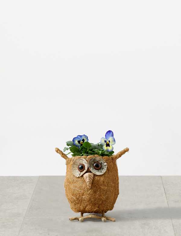 Scottie Dog Planter M S