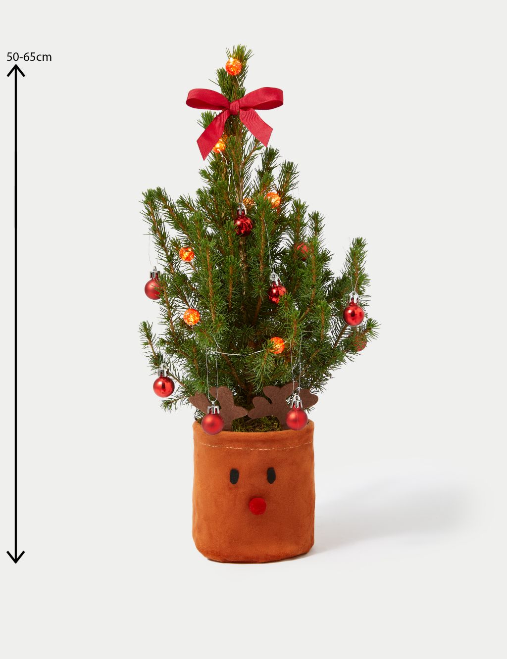 Letterbox Real Christmas Tree in Reindeer Basket image 4