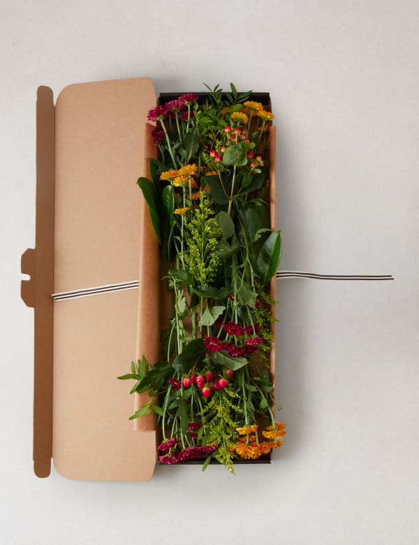 Marks And Spencer Online Flower Delivery لم يسبق له مثيل الصور