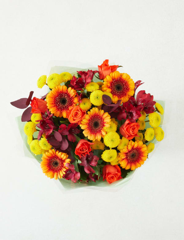 Flowers Plants Online Free Uk Next Day Delivery M S