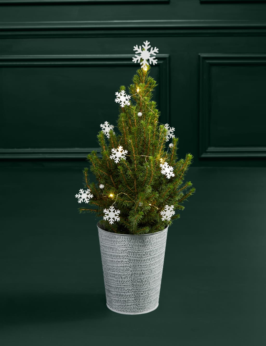Mini Real Christmas Tree in White Pot image 3