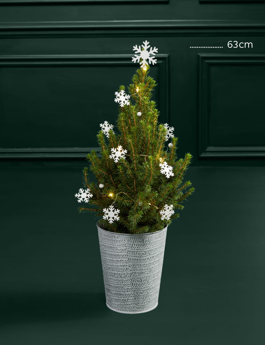 Mini Real Christmas Tree in White Pot image 4