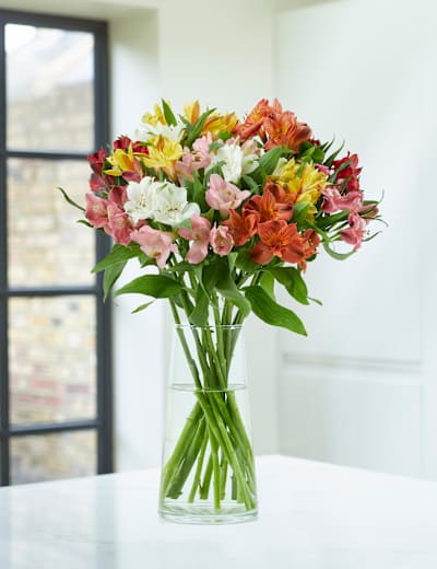 Rainbow Alstroemeria Bouquet