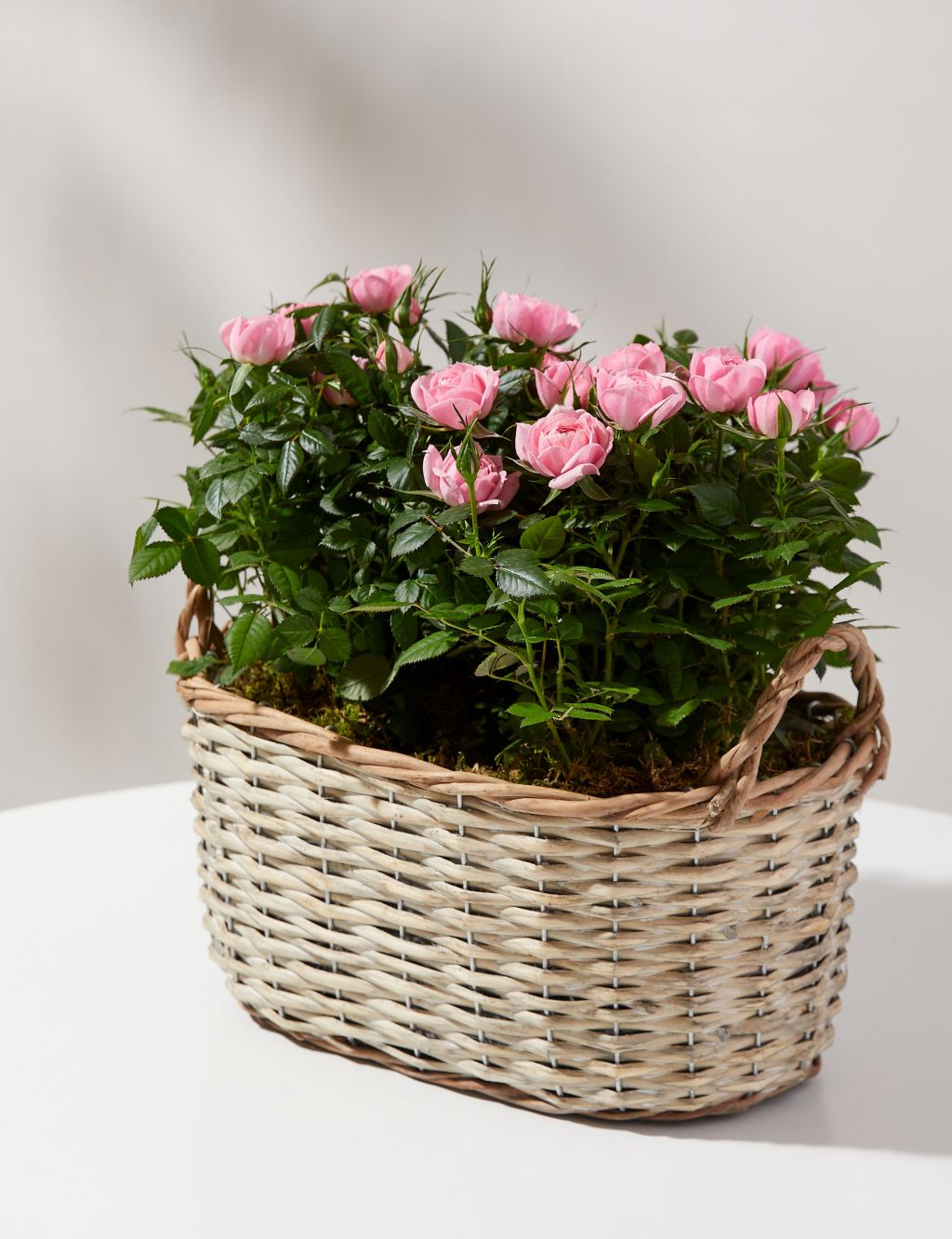 Pink Rose Basket image 1
