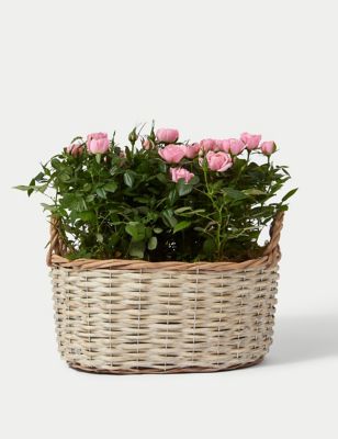 Luxury Pink Rose Basket