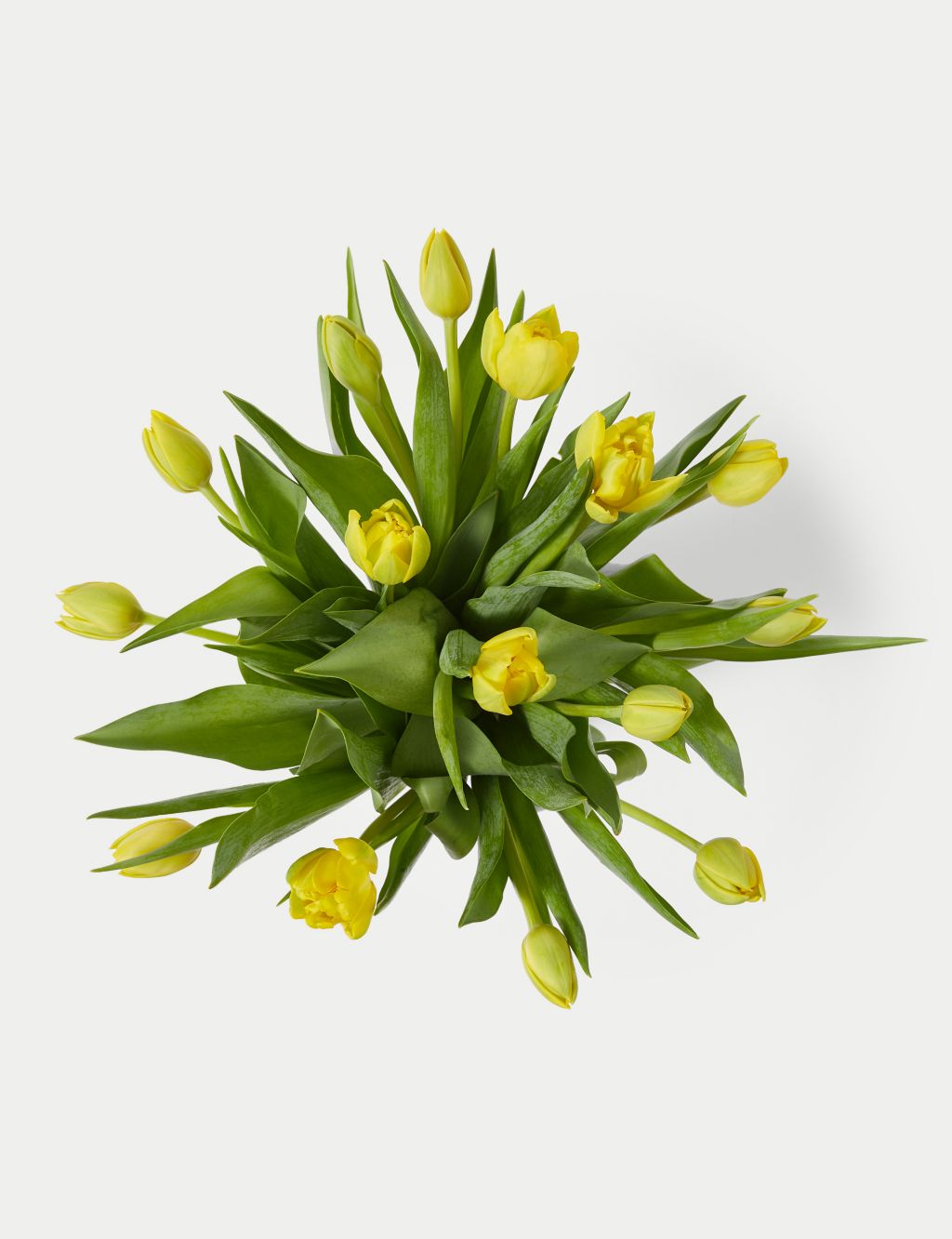 Easter Yellow Tulip Abundance Bouquet