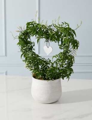M&S Mum's Jasmine Heart Ceramic Planter (Delivery from 6th March 2024)