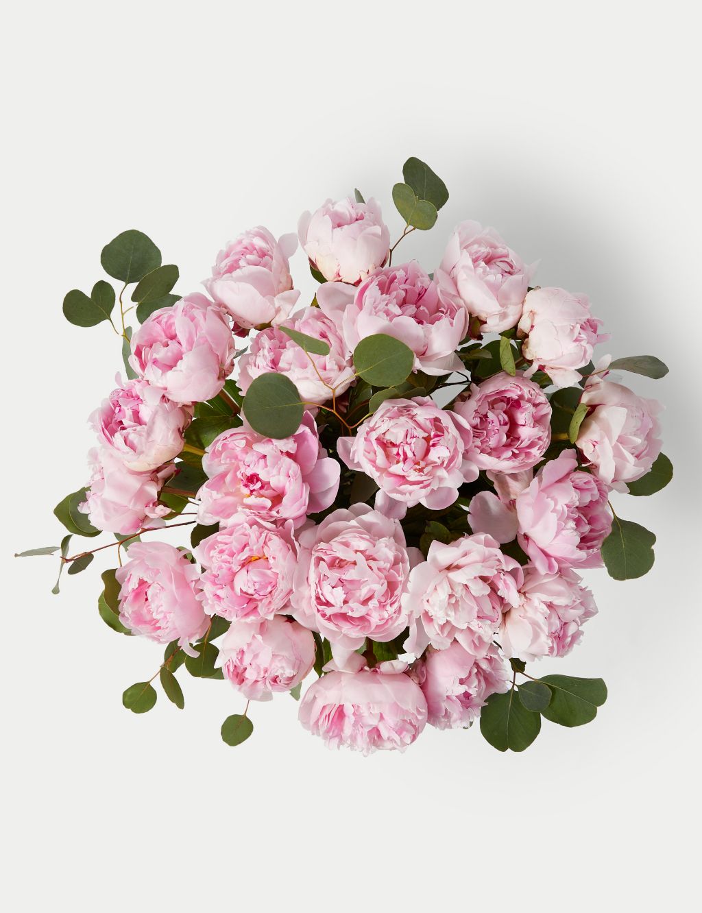 British Pink Peonies Flowers Bouquet