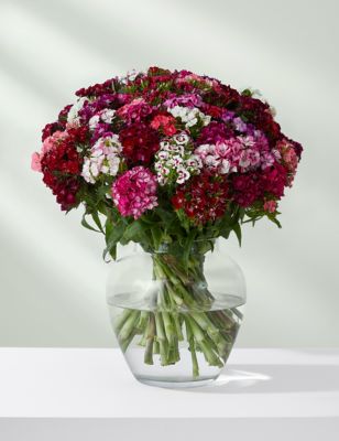 M&S Sweet Williams Flowers Bouquet