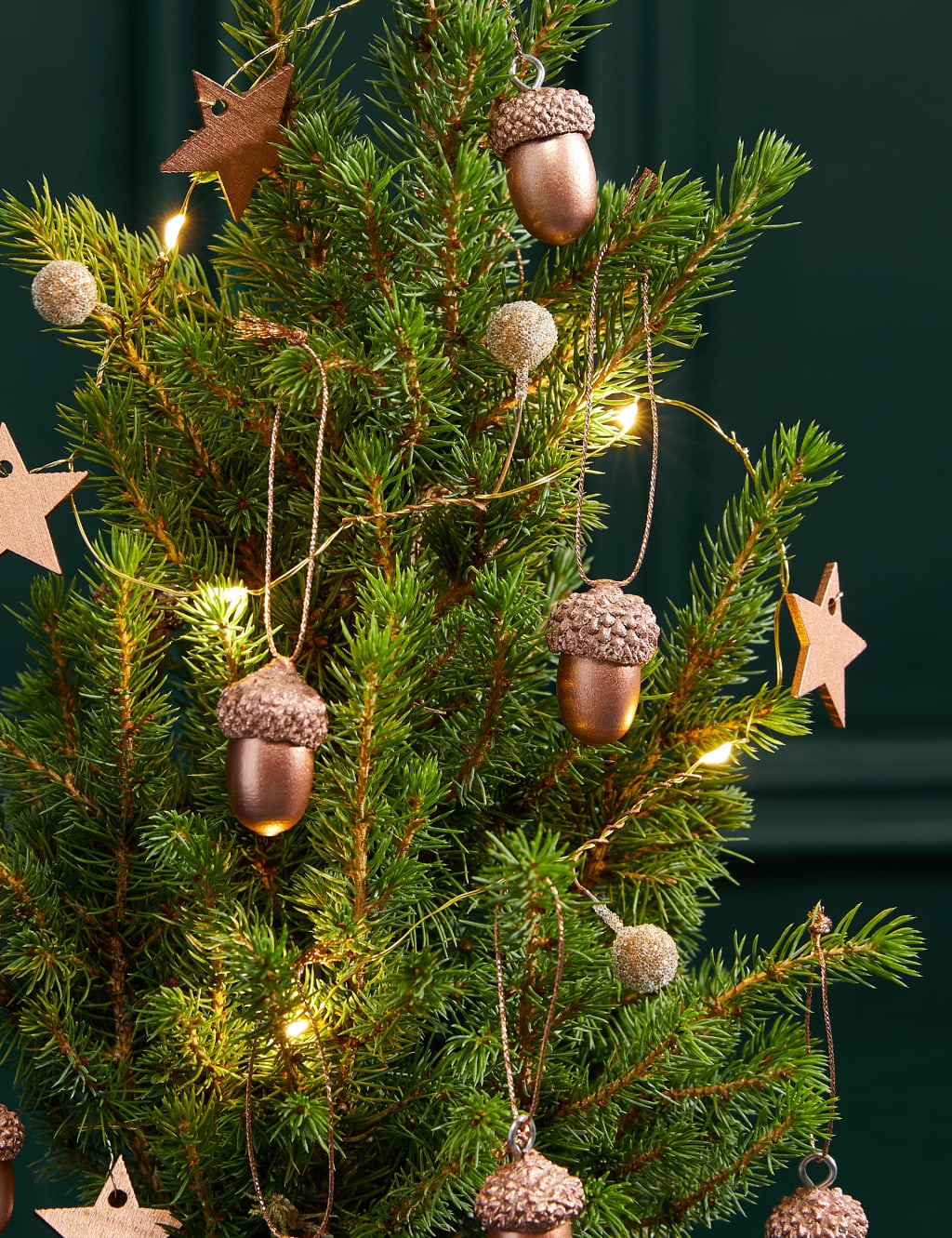 Letterbox Real Christmas Tree in Velvet Pot image 2