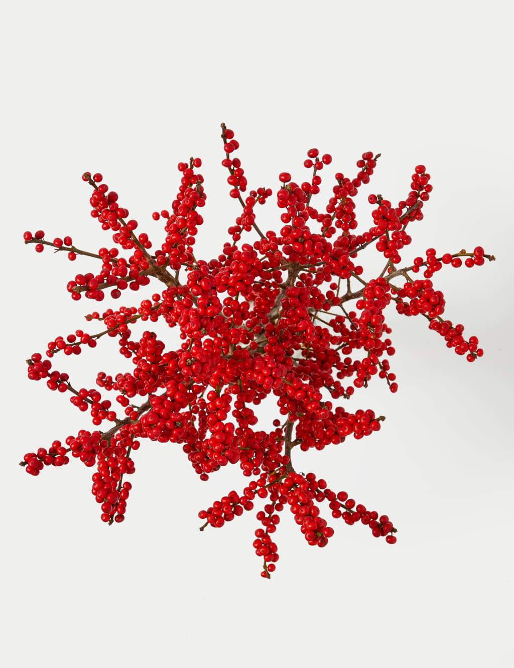 Ilex Berry Abundance Bouquet (Delivery from 13th December 2023)