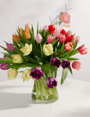 M&S Tulipmania Bouquet