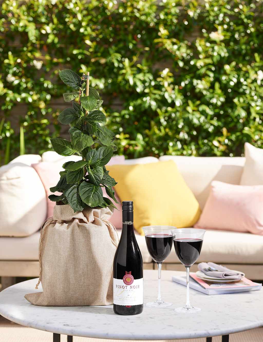 Vine & Wine Set