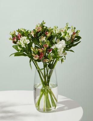 M&S Charmelia Alstroemeria Bouquet