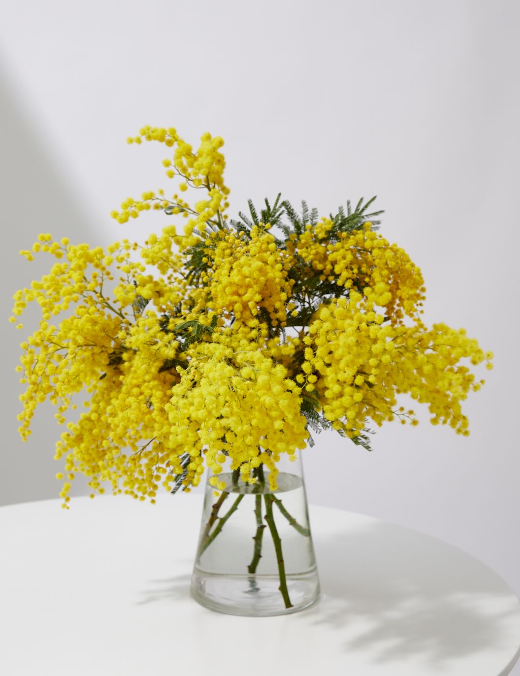 Mimosa Abundance Bouquet (Delivery from 05/03/24)