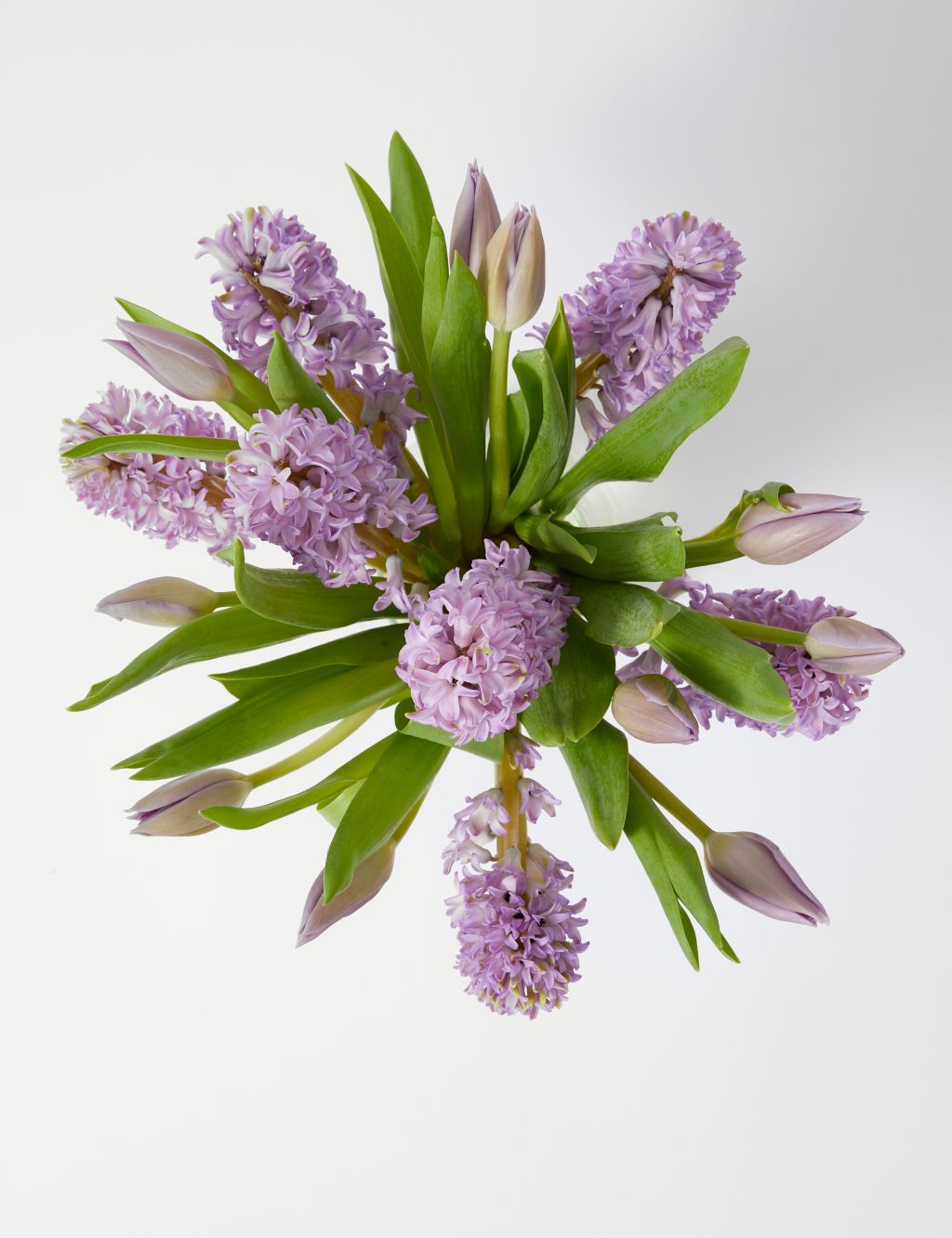 Hyacinth & Tulip Bouquet (Available until 03/03/24)
