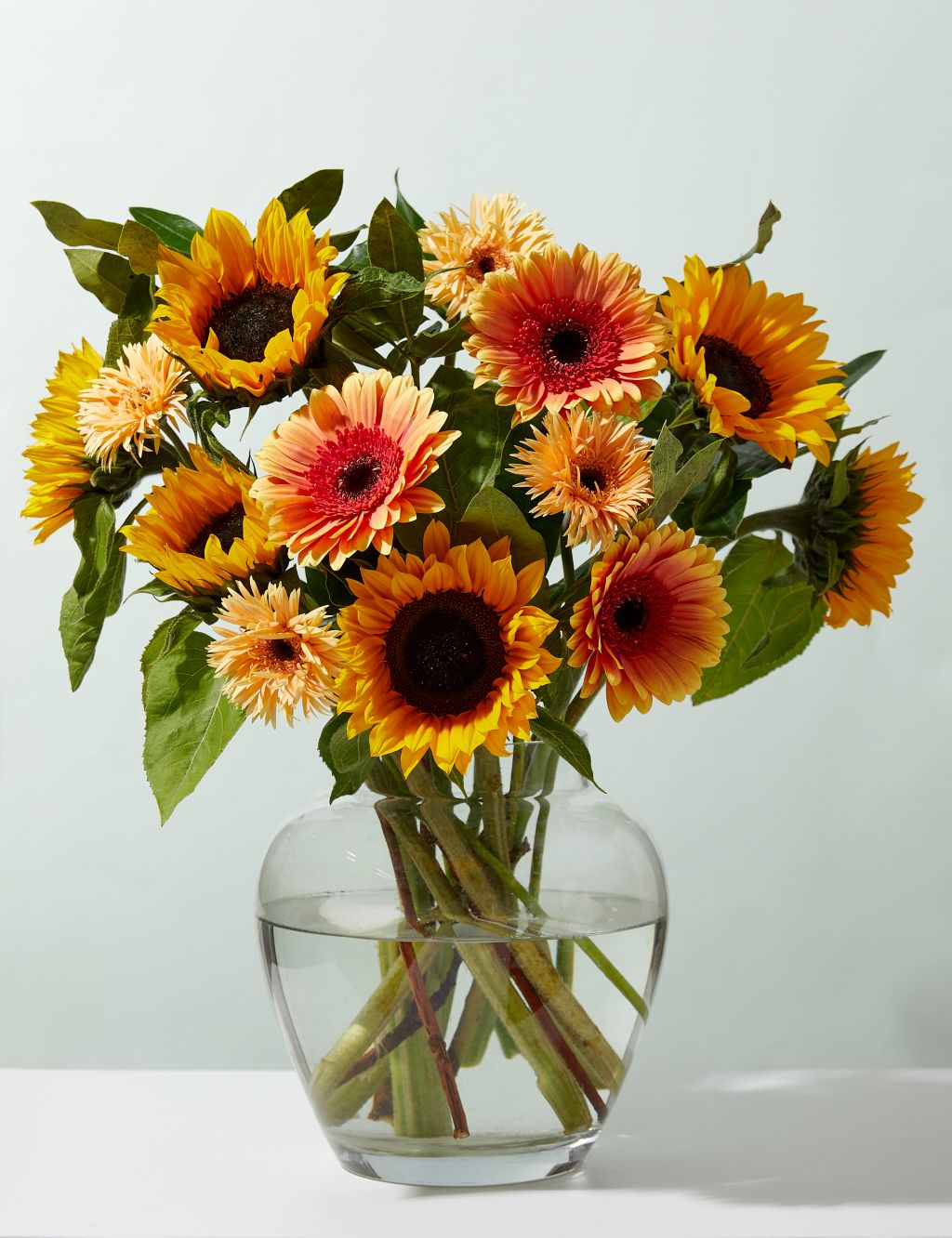 Sunflower, Germini & Gerbera Bouquet