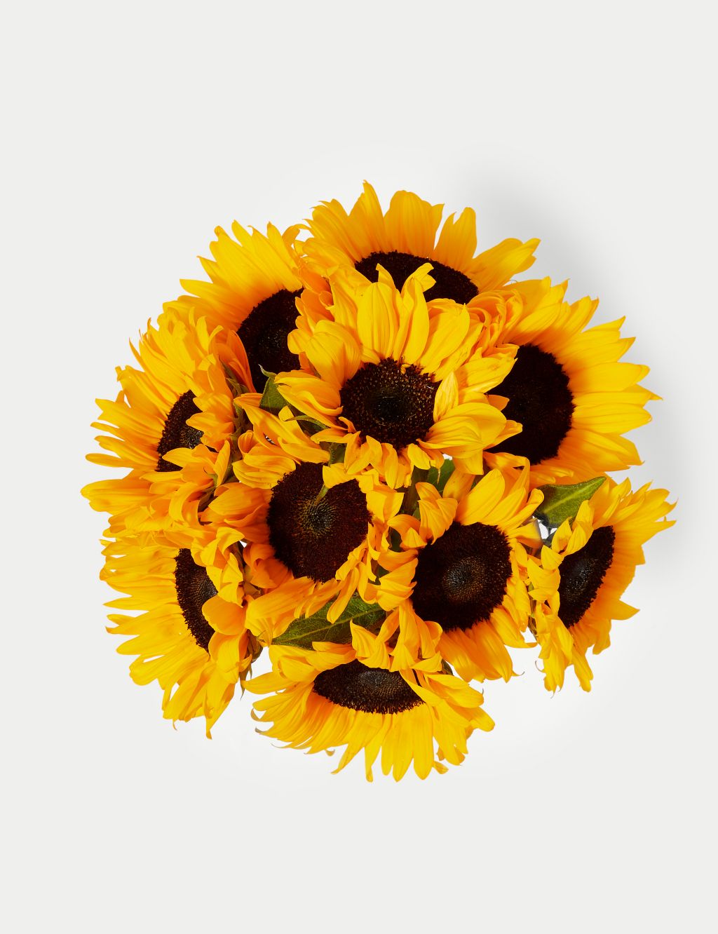 Sunflower Abundance with Bellante Prosecco