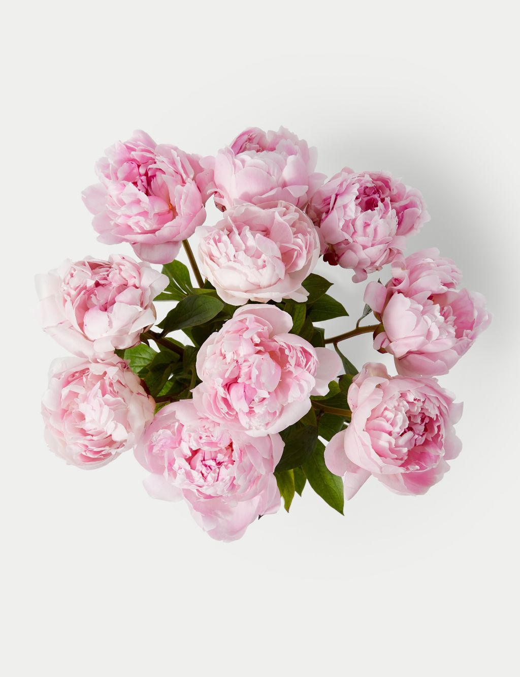 An Abundance of Seasonal Peonies with Prosecco (Delivery from 29th April 2024)