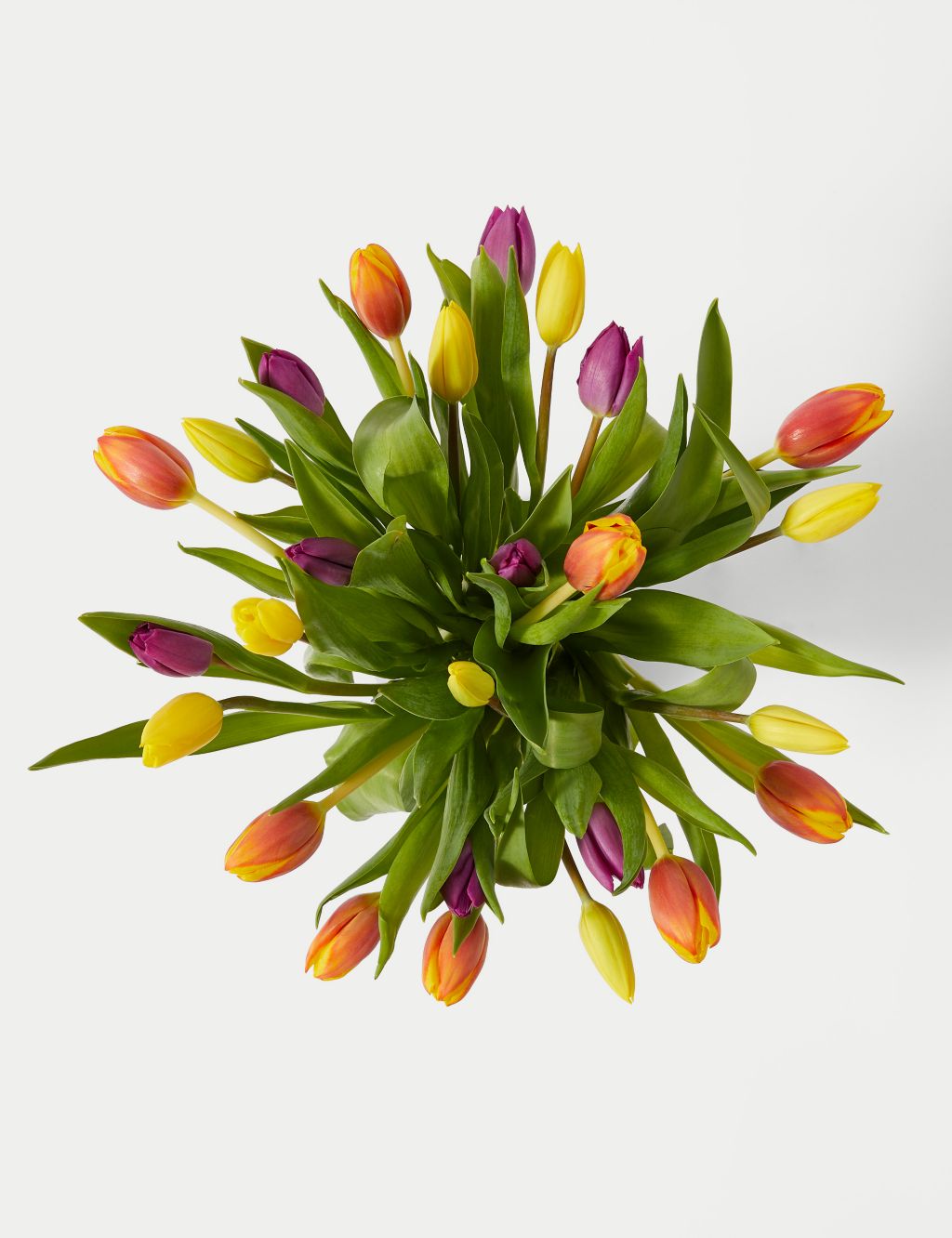 Bright & Beautiful Tulip Bouquet with Prosecco