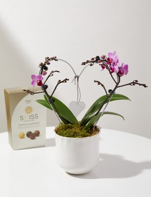 M&S Amethyst Heart Orchid & Swiss Truffles Bundle