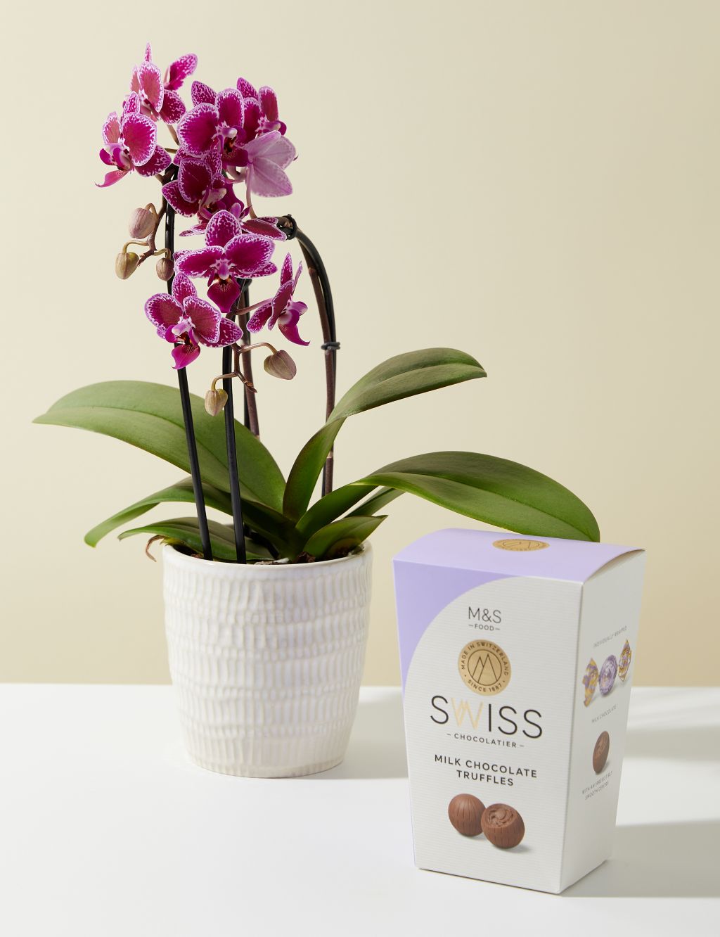 Miniature Purple Cascade Orchid Ceramic & Swiss Truffles Bundle