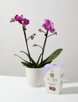 M&S Miniature Pink Phalaenopsis Orchid Ceramic & Swiss Truffles Bundle