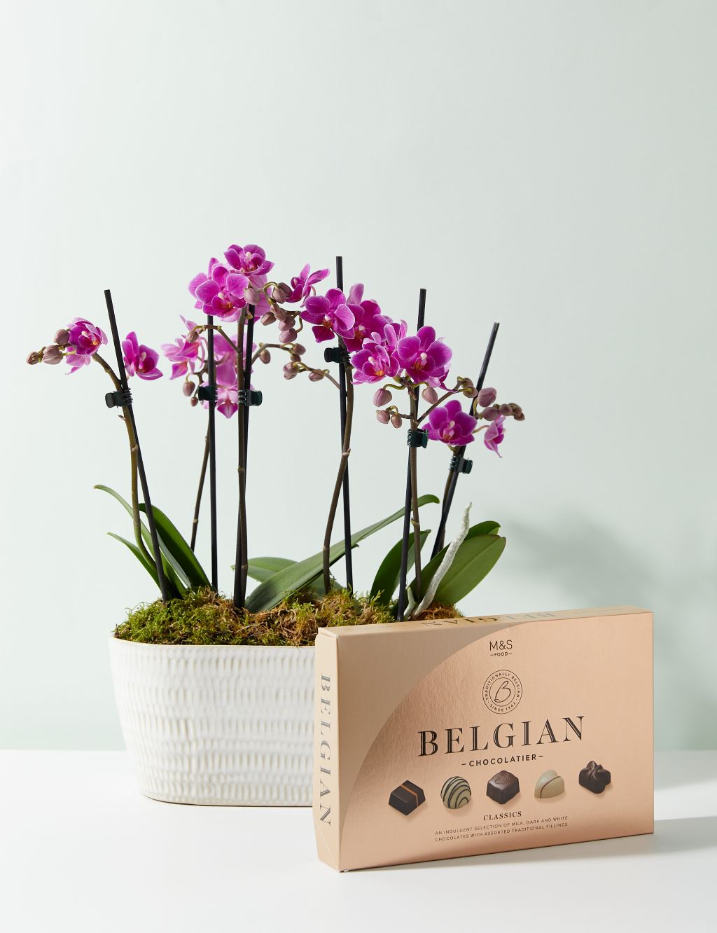 Duo Purple Phalaenopsis Planter & Belgian Chocolates Bundle
