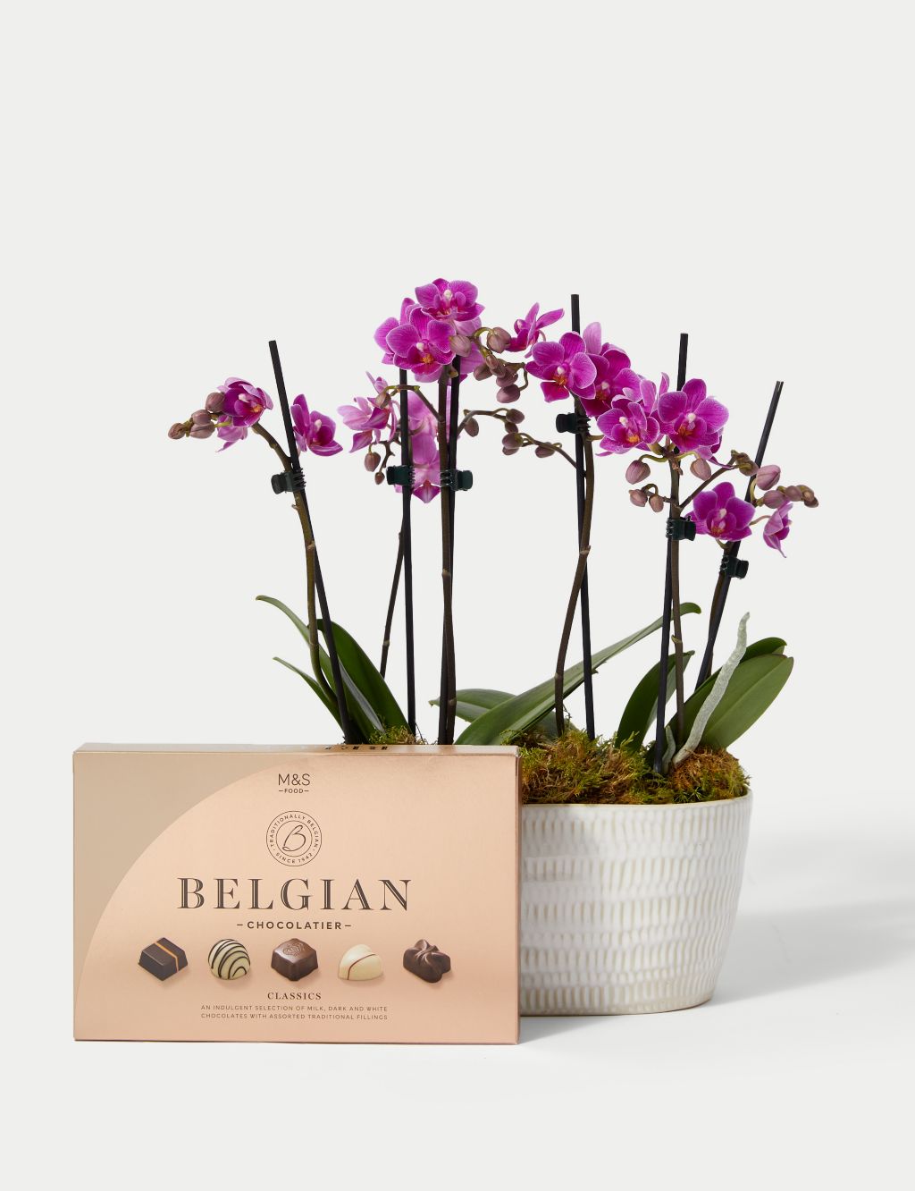 Duo Purple Phalaenopsis Planter & Belgian Chocolates Bundle