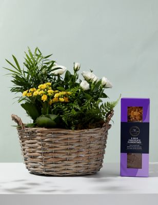 M&S Spring Flowering Basket & Belgian Chocolates Bundle