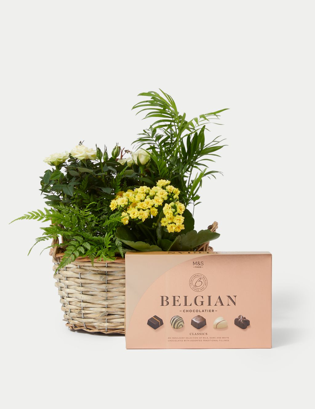 Summer Flowering Basket & Belgian Chocolates Bundle