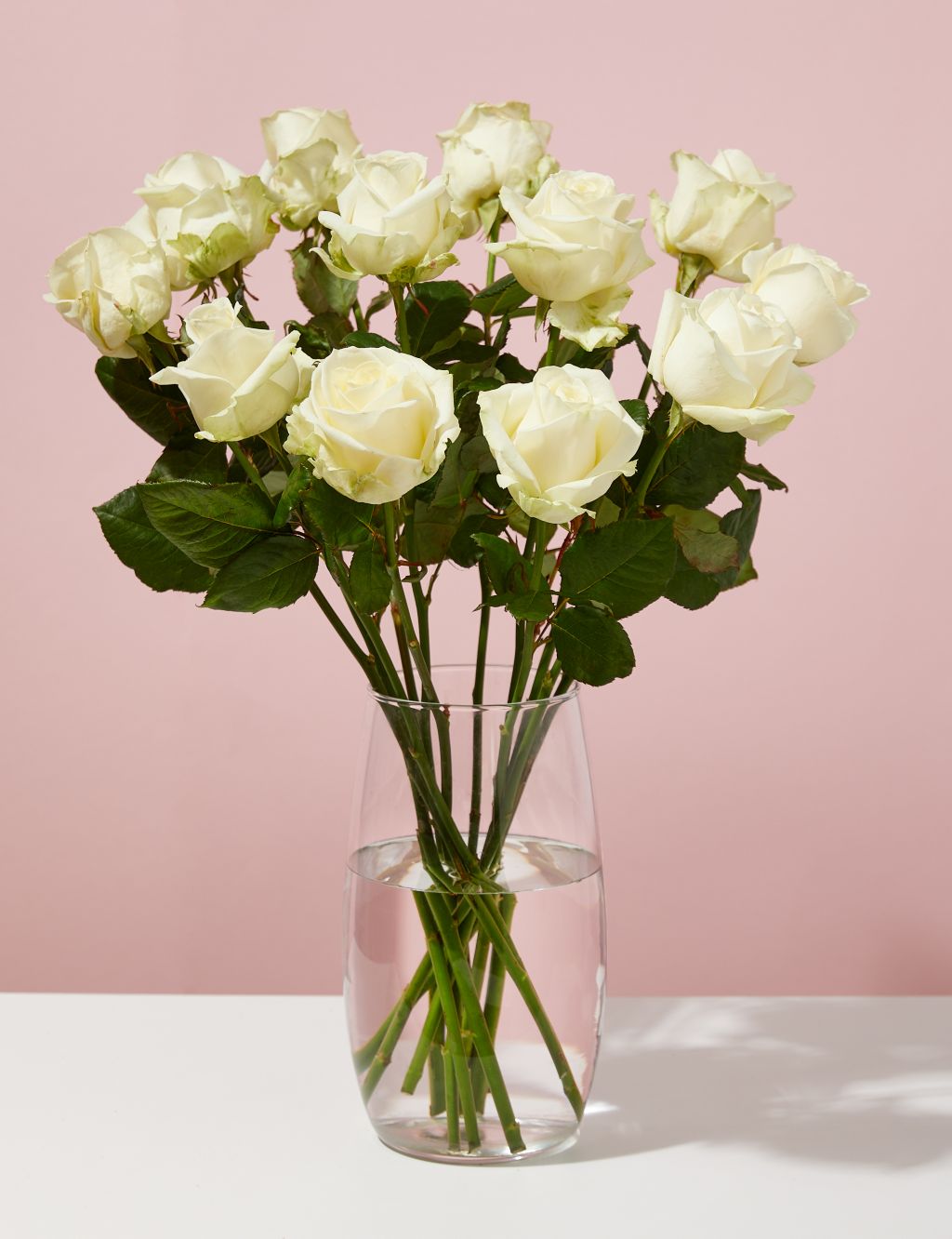 White Avalanche™ Rose Abundance