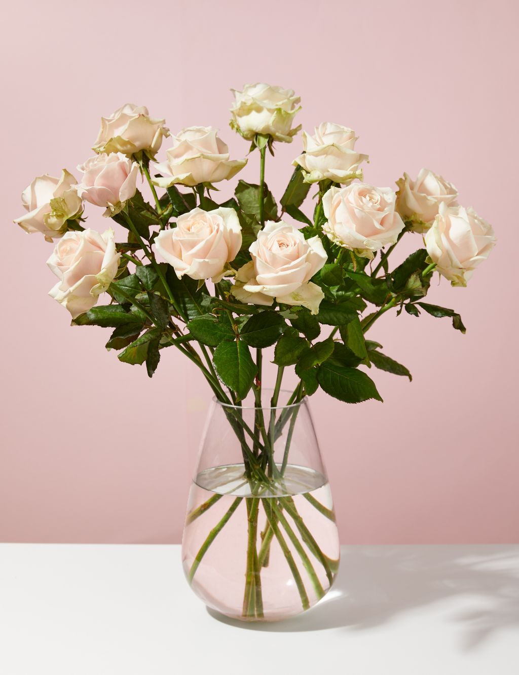 Pink Sweet Avalanche™ Rose Abundance