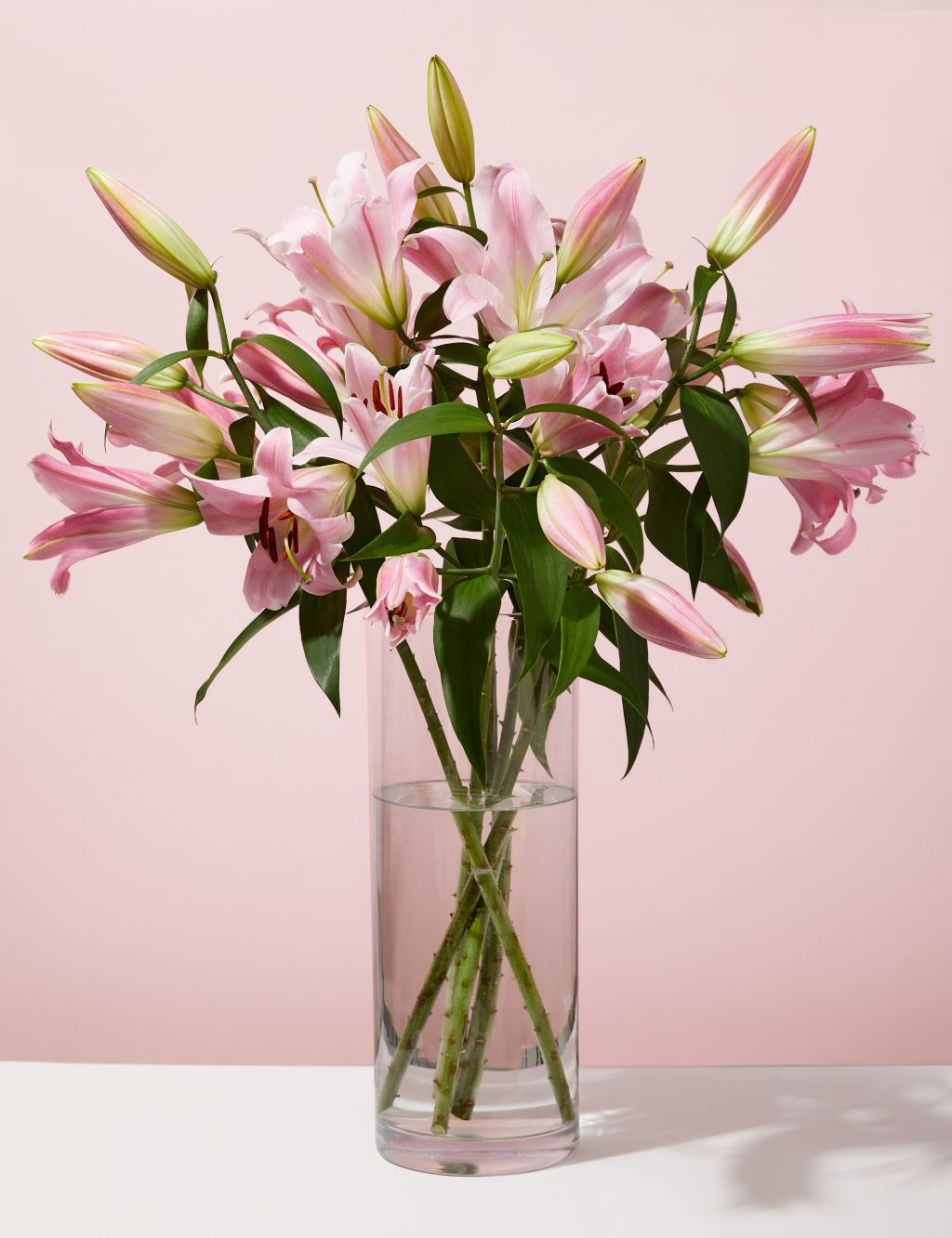 Pink Oriental Lily Abundance