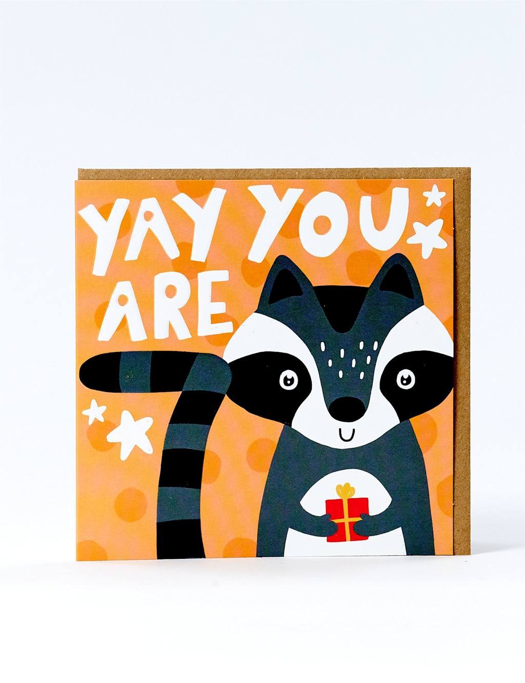 Raccoon 7th Birthday Card