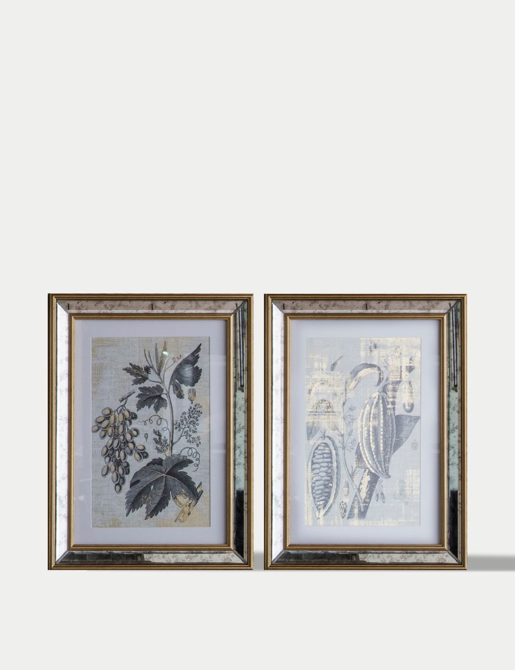 Set of 2 Braun Botanical Rectangle Framed Art image 1