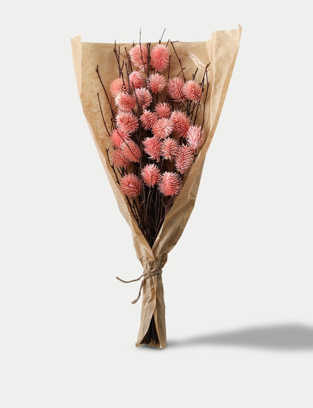 Dried Thistle Bouquet image 1