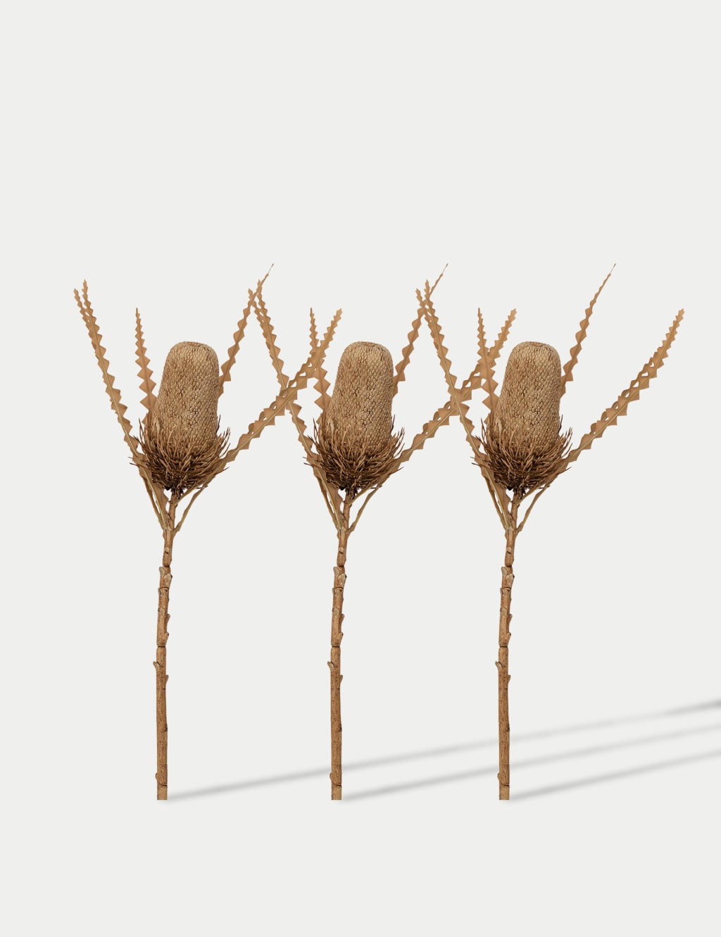 Set of 3 Artificial Banksia Single Stems image 1