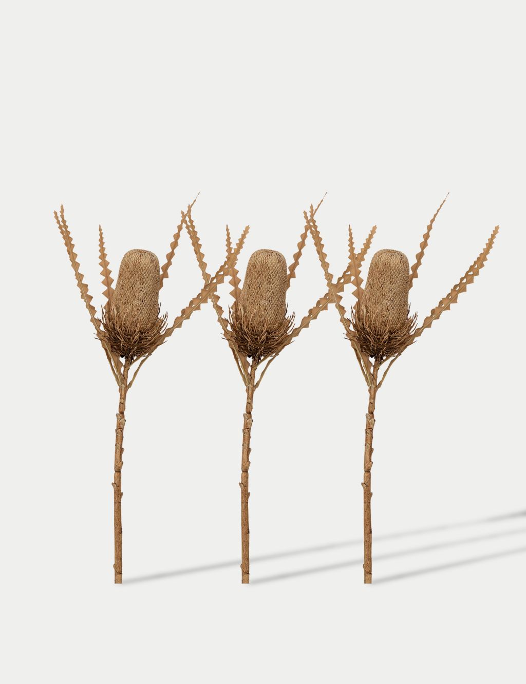 Set of 3 Artificial Banksia Single Stems